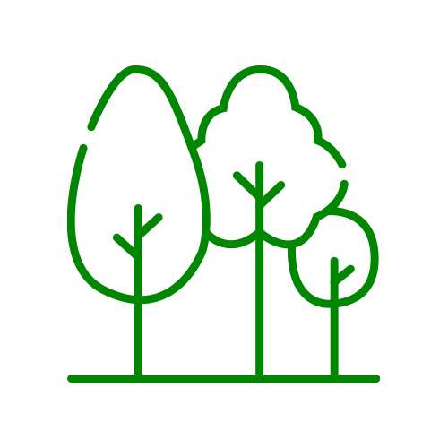 Execução de Reposição Florestal