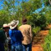  Monitoramento da recuperação vegetal pós-descomissionamento: como garantir a validação ambiental
