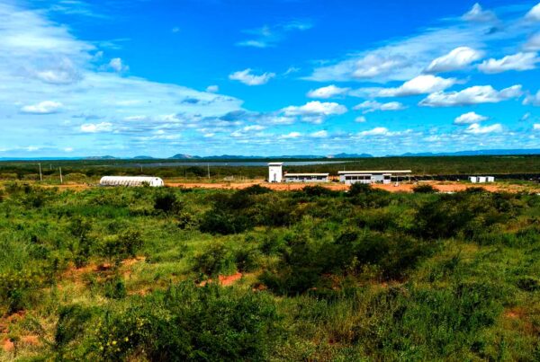 Por que a efetividade da recuperação de áreas degradadas depende de um planejamento técnico e execução especializada