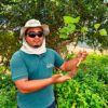 Biodiversidade: indicador de sucesso no reflorestamento