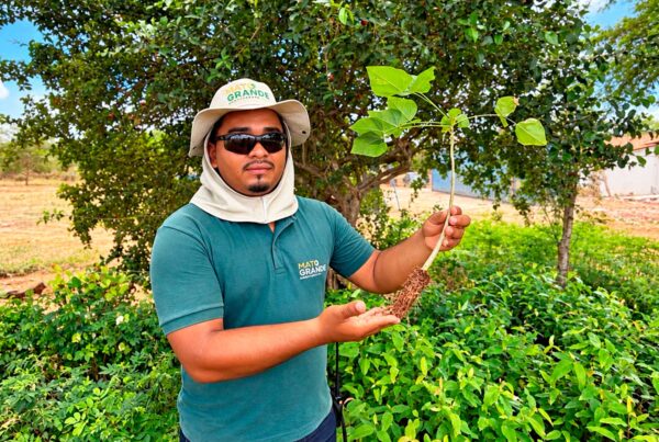 Biodiversidade: indicador de sucesso no reflorestamento