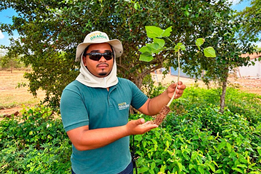 Biodiversidade: indicador de sucesso no reflorestamento