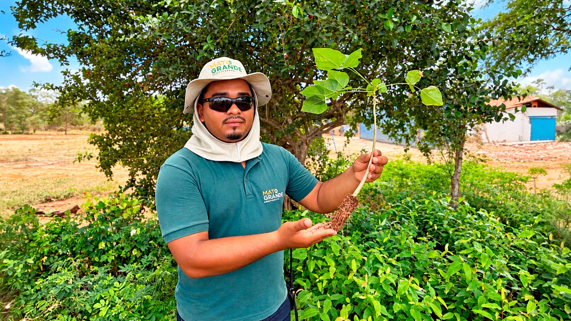 Biodiversidade: indicador de sucesso no reflorestamento